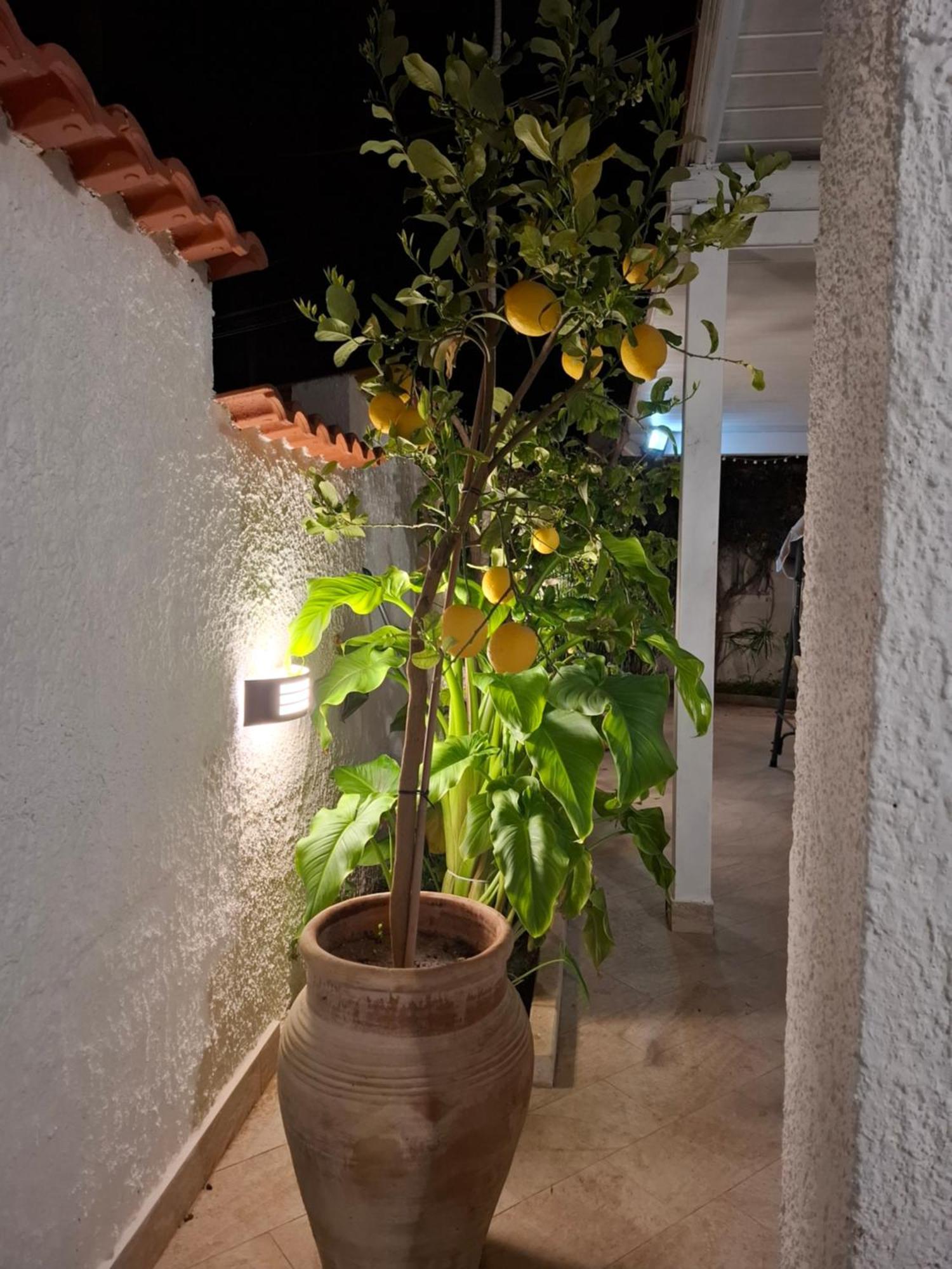 Toluammare Sicily Villa ซานตามาเรีย เดล โฟกัลโล ภายนอก รูปภาพ